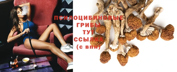 молекула духа Снежногорск
