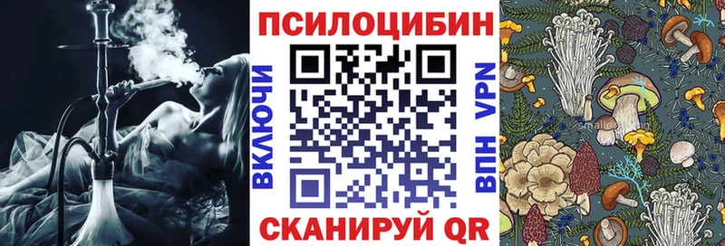 Купить закладки  Усинск  Псилоцибиновые грибы MAGIC MUSHROOMS 